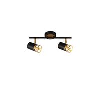 Discovery Lighting Atlanta 2 Light Spotlight Bar - Gold