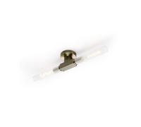 Boston 2 Light Wall & Ceiling Light - IP44 - Antique Brass with Clear Glass