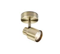 Discovery Lighting Capture Single Spotlight - Antique Brass