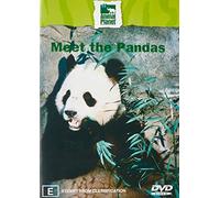 Discovery - Meet The Pandas