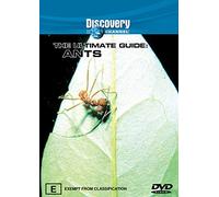 Discovery - Ultimate Guide, The - Ants