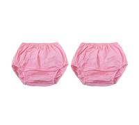 Discreet Protection Big Adult Continuous Briefs Reusable Waterproof Underwear Washable Diaper Cover Pack of 2 Reusable Pants for Women