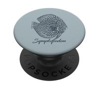 Discus Fish Symphysodon Discus Cichlid Aquarist PopSockets Adhesive PopGrip