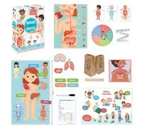 Diset I Learn Positively: The Human Body Board Game