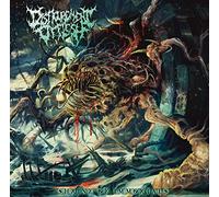 Disfigurement of Flesh - Shrine Of Immortals