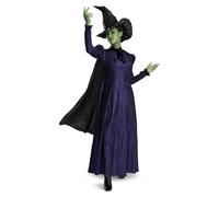 DISGUISE Adult Wicked Deluxe Elphaba Fancy Dress Costume | Wicked Fancy Dress Costumes Small