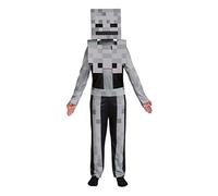 Disguise Kids Minecraft Classic Skeleton Costume - 3T/4T, Gray