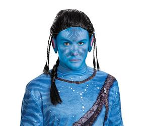 DISGUISE Men's Avatar Classic Jake Wig Standard