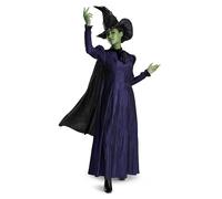 Disguise Wicked Elphaba Costume, Deluxe Official Wicked Elphaba Costume Cape and Hat for Women