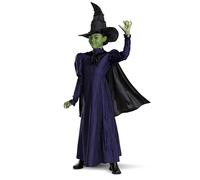 Disguise Wicked Elphaba Costume for Girls, Deluxe Official Wicked Elphaba Costume Cape and Hat, Kids Size (7-8)