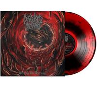 Disguised Malignance - Entering the Gateways [VINYL]