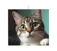 Dish Drying Mat for Kitchen Counter Microfiber Super Absorbent Non-Slip Drying Mats Large Dish Draining Mat Kitchen Counter Quick Dry Pad A curious cat Dish Rack Pad 18" x 16"