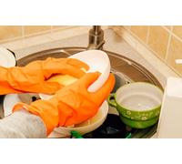 Dishwashing: The Basics - Online Course