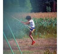 disiz - on s'en rappellera pas