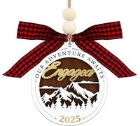 DISJOURNEY Ornaments for Couples 2025 - Wooden Christmas Ornaments Christmas Tree Decorations Engagement Gifts for Women Men - Mountain Range Sierra Nevada Design