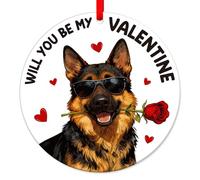 DISJOURNEY Valentines Gifts for Him Her - Double Sided Funny Valentine’s Day Acrylic Ornament With Ribbon - Valentines Gift for Boyfriend Girlfriend Husband Wife Dog Lovers