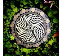 Disk EMFS Tesla Polarizing Disk, Multi Wave Oscillator Tesla Coil, MWO Disk, Coil Copper Gold-plated Layer, Diameter 12.8cm, Water Energization & Harmonic Balancing, for Phones, Water Bottles, Plants