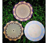 Disk EMFS Tesla Polarizing Disk, Multi Wave Oscillator Tesla Coil, MWO Disk, Coil Copper Gold-plated Layer, Diameter 12.8cm, Water Energization & Harmonic Balancing, for Phones, Water Bottles, Plants