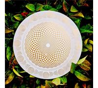 Disk EMFS Tesla Polarizing Disk, Multi Wave Oscillator Tesla Coil, MWO Disk, Coil Copper Gold-plated Layer, Diameter 12.8cm, Water Energization & Harmonic Balancing, for Phones, Water Bottles, Plants
