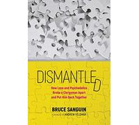 Dismantled: How Love and Psychedelics Broke a Clergyman Apart, and Put Him Back Together