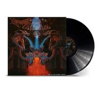 Dismember - Like an Ever Flowing Stream [VINYL]