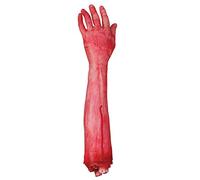 Dismembered arm 44 cms.