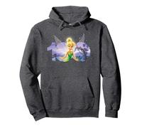 Disney 100 Anniversary Peter Pan Tinker Bell D100 Pullover Hoodie, Adult Unisex, Dark Heather Grey, Large