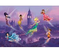 Disney AG Design - Photo Wall Mural Fairies - Giant Wall Poster 55x180 cm/100, 4x70, 9 Inch Parts FTDs 19 5, Multi-Colour, 255 x 180 cm