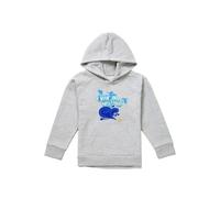 Disney Aladdin Official Wish Granter, The Genie Youth Kids Pull-Over Hoodie, Athletic Heather in Grey | Size: 9-11 Years Disney Grey 9-11 Years