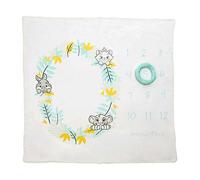 Enchanting Disney Baby Themed Milestone Photo Blanket Baby Shower Gift