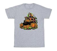 Disney Boy's Evil Queen Villains Halloween T-Shirt in Grey | Size: 7-8 Years Disney Grey 7-8 Years