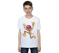 Disney Boys The Muppets Classic Animal T-Shirt 12-13 Years White