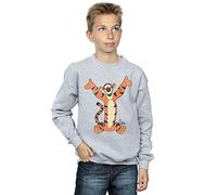 Disney Boys Winnie The Pooh Classic Tigger Sweatshirt 5-6 Years Sport Grey