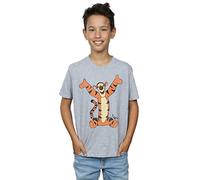 Disney Boys Winnie The Pooh Classic Tigger T-Shirt 7-8 Years Sport Grey