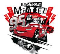 Disney Cars (The CHAMP Lightning Mcqueen) 40 x 40cm Canvas