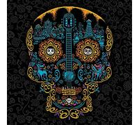 Disney Coco (Pattern Skull) 40 x 40cm Canvas