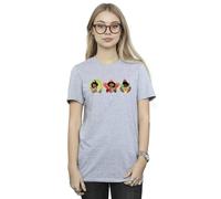 Disney Women's Encanto Family Line Cotton Boyfriend T-Shirt in Grey | Size: Large Disney Grey L