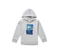 Disney Finding Nemo Fish Are Friends Youth Kids Pull-Over Hoodie, Athletic Heather in Grey | Size: 7-8 Years Disney Grey 7-8 Years