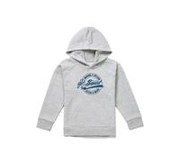 Disney Finding Nemo Squirt Catch A Wave Youth Kids Pull-Over Hoodie, Athletic Heather in Grey | Size: 5-6 Years Disney Grey 5-6 Years