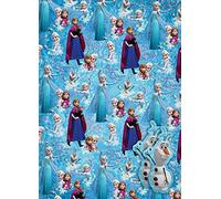 Disney Frozen 2X Gift Wrap Sheets and 2X Gift Tags