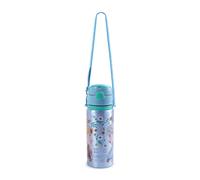 Disney Frozen Aluminum Leak Proof Water Bottle | Acotis