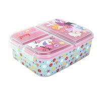 Disney Frozen Flowers Kids Childrens Multi Compartment Rectangular School Travel Lunch Food Box Sandwich Bento Container, BPA Free