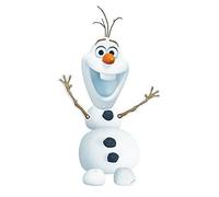 Disney Frozen Party Hanging Decorations Olaf Birthday Party Supplies