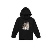 Disney Frozen Snow Bros With Kristoff & Sven Youth Kids Pull-Over Hoodie, Black | Size: 7-8 Years Disney Black 7-8 Years