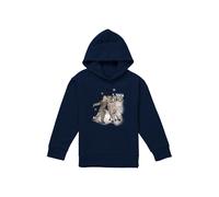 Disney Frozen Snow Bros With Kristoff & Sven Youth Kids Pull-Over Hoodie, Navy | Size: 9-11 Years Disney Navy 9-11 Years