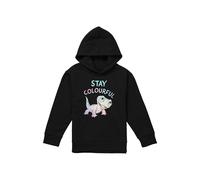 Disney Frozen Stay Colourful With Fire Spirit, Bruni Youth Kids Pull-Over Hoodie, Black | Size: 12-13 Years Disney Black 12-13 Years