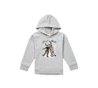 Disney Frozen Sven & Kristoff Snow Bros Youth Kids Pull-Over Hoodie, Athletic Heather in Grey | Size: 12-13 Years Disney Grey 12-13 Years