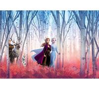 Disney girl bedroom paper Photo Wallpaper Frozen Elsa Anna Olaf 368x254cm