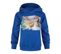 Disney Hoodie (Boys Blue)