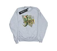 Disney Mens Toy Story Partysaurus Rex Sweatshirt BI50013